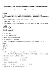 2023-2024学年黑龙江省哈尔滨市德强中学九年级物理第一学期期末达标测试试题含答案