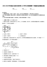 2023-2024学年黑龙江省哈尔滨市第113中学九年级物理第一学期期末监测模拟试题含答案