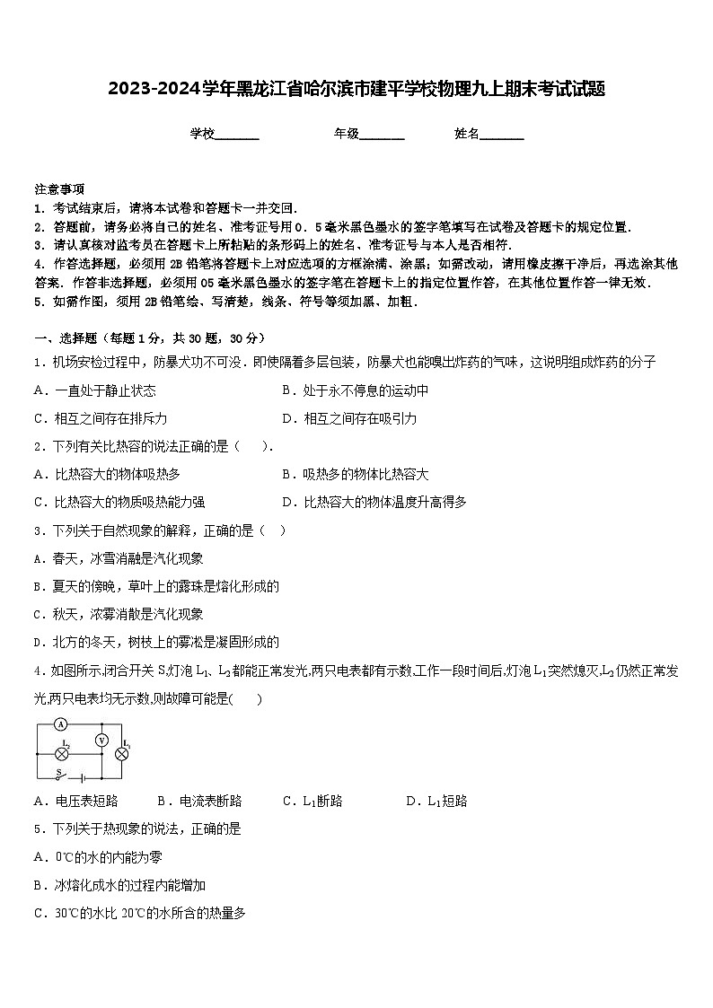 2023-2024学年黑龙江省哈尔滨市建平学校物理九上期末考试试题含答案第1页