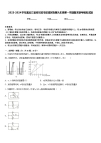 2023-2024学年黑龙江省哈尔滨市双城区物理九年级第一学期期末联考模拟试题含答案