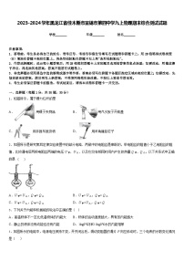 2023-2024学年黑龙江省佳木斯市富锦市第四中学九上物理期末综合测试试题含答案