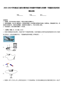 2023-2024学年黑龙江省佳木斯市同江市场直中学物理九年级第一学期期末质量检测模拟试题含答案