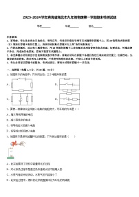 2023-2024学年青海省海北市九年级物理第一学期期末检测试题含答案