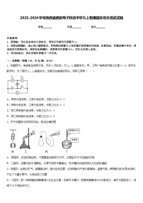 2023-2024学年陕西省西安电子科技中学九上物理期末综合测试试题含答案