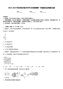 2023-2024学年青岛市重点中学九年级物理第一学期期末监测模拟试题含答案