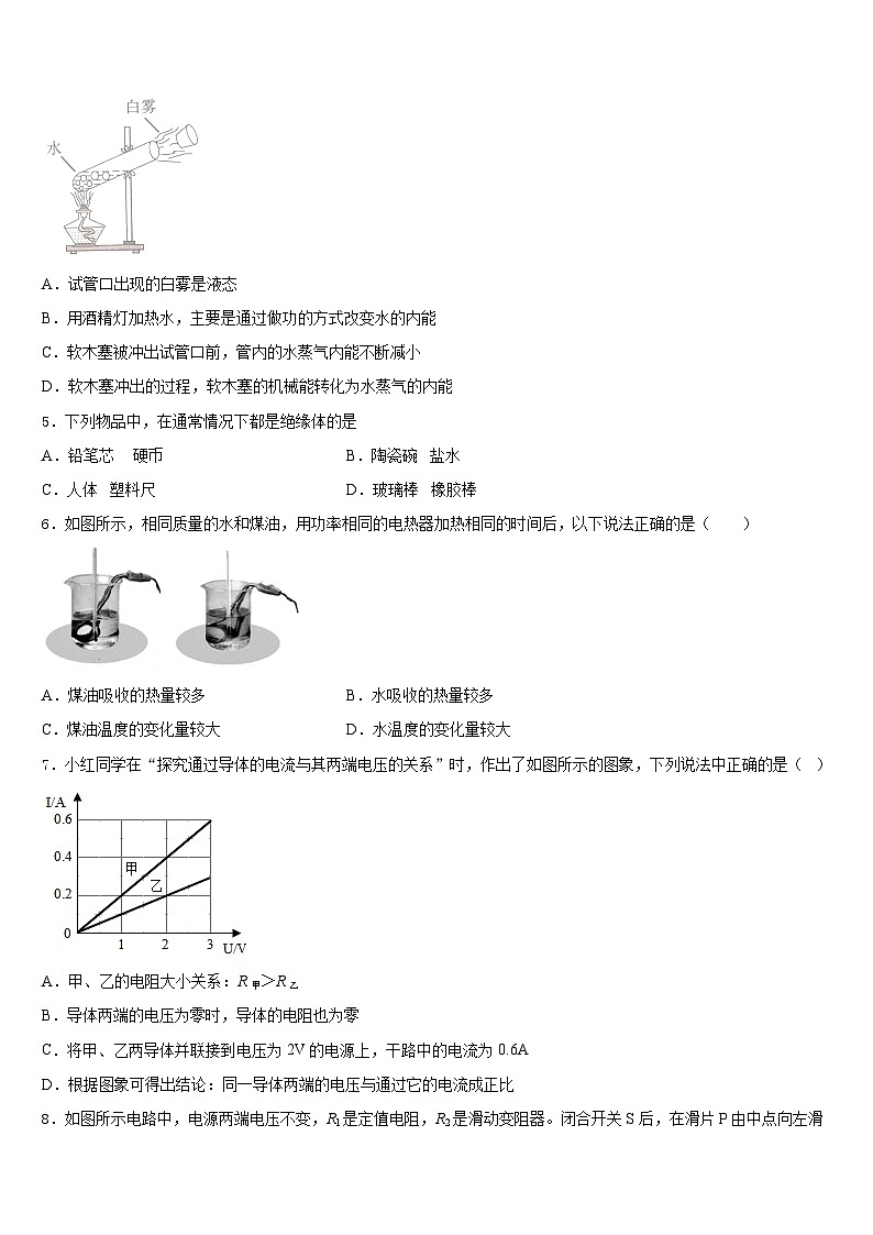 2023-2024学年黄山市物理九上期末质量跟踪监视模拟试题含答案第2页