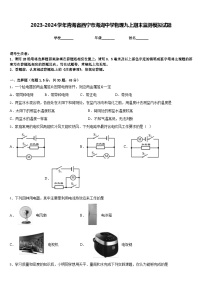 2023-2024学年青海省西宁市海湖中学物理九上期末监测模拟试题含答案