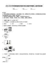 2023-2024学年陕西省西安市西安交通大附属中学物理九上期末预测试题含答案