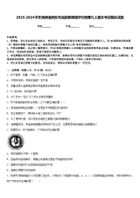 2023-2024学年陕西省西安市高新逸翠园学校物理九上期末考试模拟试题含答案