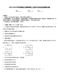 2023-2024学年青海省大通县物理九上期末学业质量监测模拟试题含答案