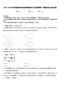 2023-2024学年陕西省西安市高新逸翠园学校九年级物理第一学期期末复习检测试题含答案