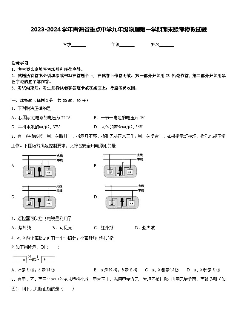 2023-2024学年青海省重点中学九年级物理第一学期期末联考模拟试题含答案01