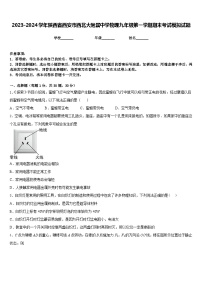 2023-2024学年陕西省西安市西北大附属中学物理九年级第一学期期末考试模拟试题含答案