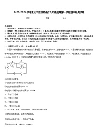 2023-2024学年黑龙江省双鸭山市九年级物理第一学期期末经典试题含答案