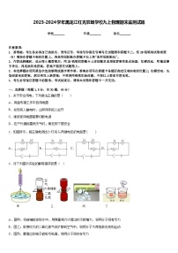 2023-2024学年黑龙江红光农场学校九上物理期末监测试题含答案