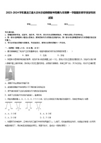 2023-2024学年黑龙江省大庆杜尔伯特县联考物理九年级第一学期期末教学质量检测试题含答案