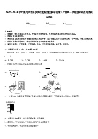 2023-2024学年黑龙江省哈尔滨松北区四校联考物理九年级第一学期期末综合测试模拟试题含答案