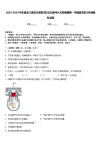 2023-2024学年黑龙江省哈尔滨香坊区五校联考九年级物理第一学期期末复习检测模拟试题含答案