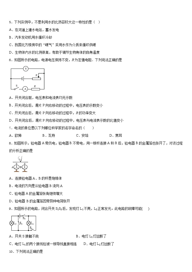 2023-2024学年黑龙江省红光农场学校九年级物理第一学期期末综合测试试题含答案02