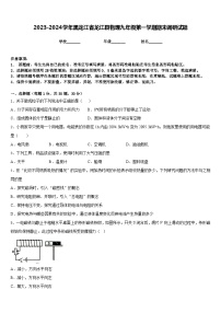 2023-2024学年黑龙江省龙江县物理九年级第一学期期末调研试题含答案