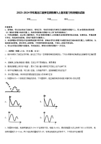 2023-2024学年黑龙江省萝北县物理九上期末复习检测模拟试题含答案