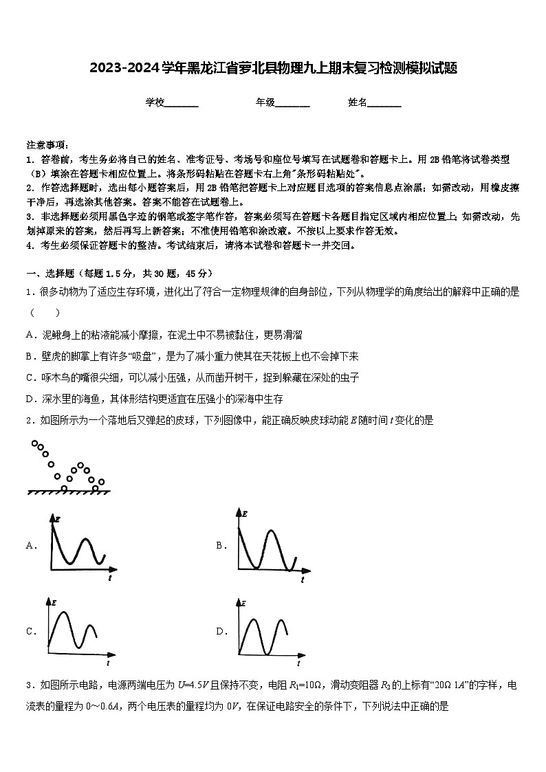 2023-2024学年黑龙江省萝北县物理九上期末复习检测模拟试题含答案01