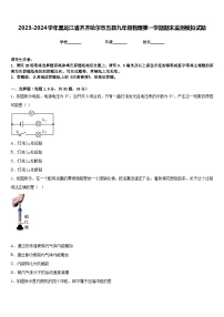 2023-2024学年黑龙江省齐齐哈尔市五县九年级物理第一学期期末监测模拟试题含答案