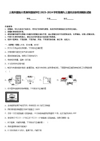 上海外国语大秀洲外国语学校2023-2024学年物理九上期末达标检测模拟试题含答案