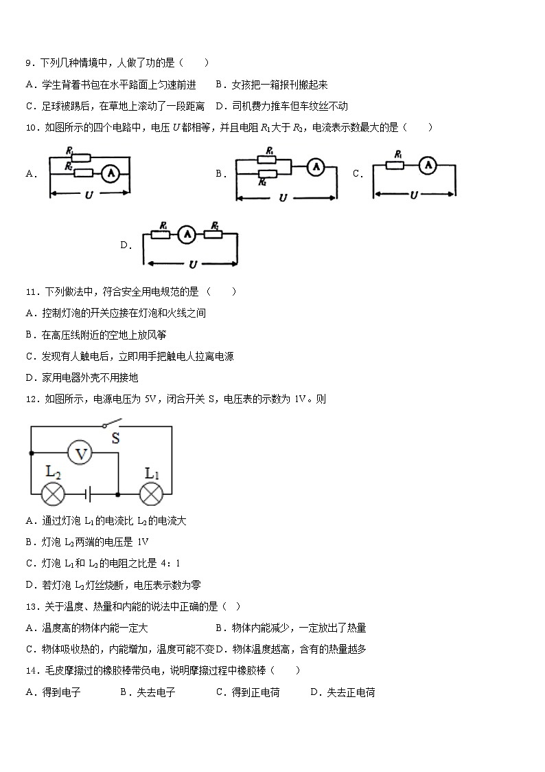 上海外国语大秀洲外国语学校2023-2024学年物理九上期末达标检测模拟试题含答案03