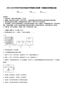 2023-2024学年齐齐哈尔市重点中学物理九年级第一学期期末统考模拟试题含答案