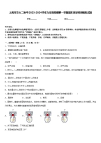 上海市交大二附中2023-2024学年九年级物理第一学期期末质量检测模拟试题含答案