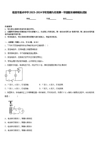 临夏市重点中学2023-2024学年物理九年级第一学期期末调研模拟试题含答案