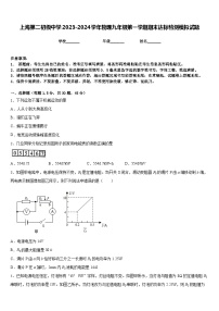 上海第二初级中学2023-2024学年物理九年级第一学期期末达标检测模拟试题含答案