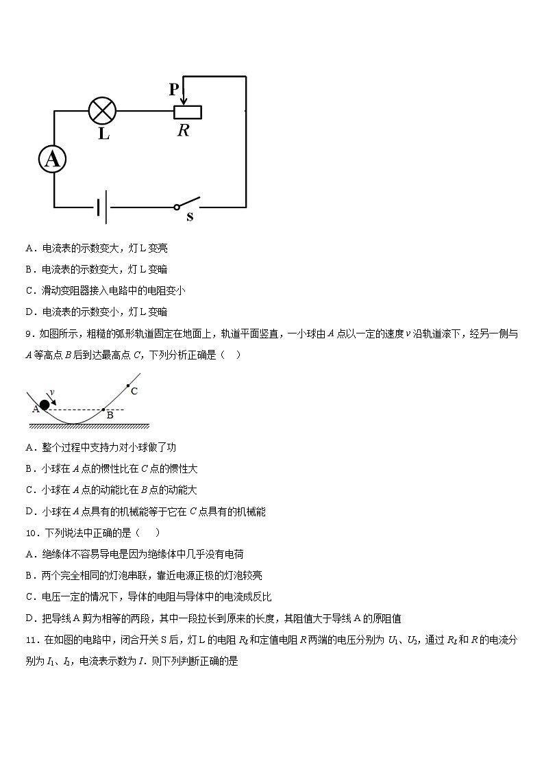 上海第二初级中学2023-2024学年物理九年级第一学期期末达标检测模拟试题含答案第3页