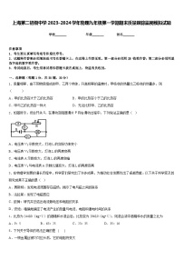 上海第二初级中学2023-2024学年物理九年级第一学期期末质量跟踪监视模拟试题含答案