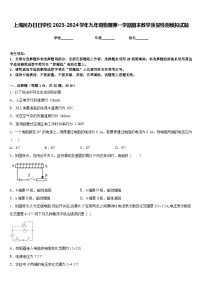 上海民办日日学校2023-2024学年九年级物理第一学期期末教学质量检测模拟试题含答案