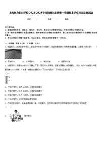 上海民办日日学校2023-2024学年物理九年级第一学期期末学业质量监测试题含答案