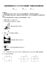 上海浦东第四教育署2023-2024学年九年级物理第一学期期末达标检测模拟试题含答案