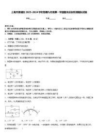 上海市黄埔区2023-2024学年物理九年级第一学期期末达标检测模拟试题含答案