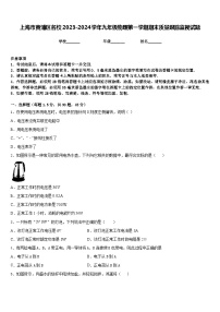 上海市黄浦区名校2023-2024学年九年级物理第一学期期末质量跟踪监视试题含答案