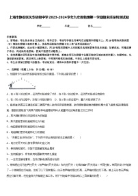 上海市静安区风华初级中学2023-2024学年九年级物理第一学期期末质量检测试题含答案