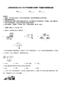 上海市延安实验2023-2024学年物理九年级第一学期期末经典模拟试题含答案