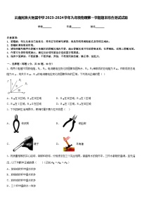 云南民族大附属中学2023-2024学年九年级物理第一学期期末综合测试试题含答案