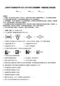 上海市长宁区西延安中学2023-2024学年九年级物理第一学期期末复习检测试题含答案