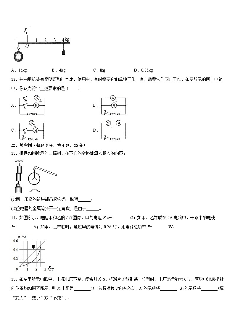上海市长宁区西延安中学2023-2024学年九年级物理第一学期期末复习检测试题含答案第3页
