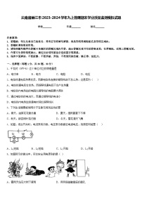 云南省丽江市2023-2024学年九上物理期末学业质量监测模拟试题含答案