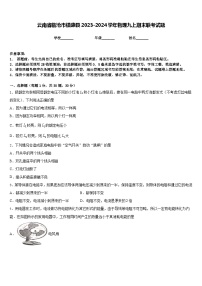 云南省临沧市镇康县2023-2024学年物理九上期末联考试题含答案