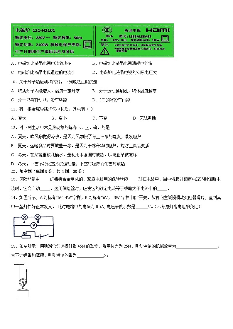 云南省临沧市临翔区第一中学2023-2024学年物理九年级第一学期期末质量检测试题含答案第3页