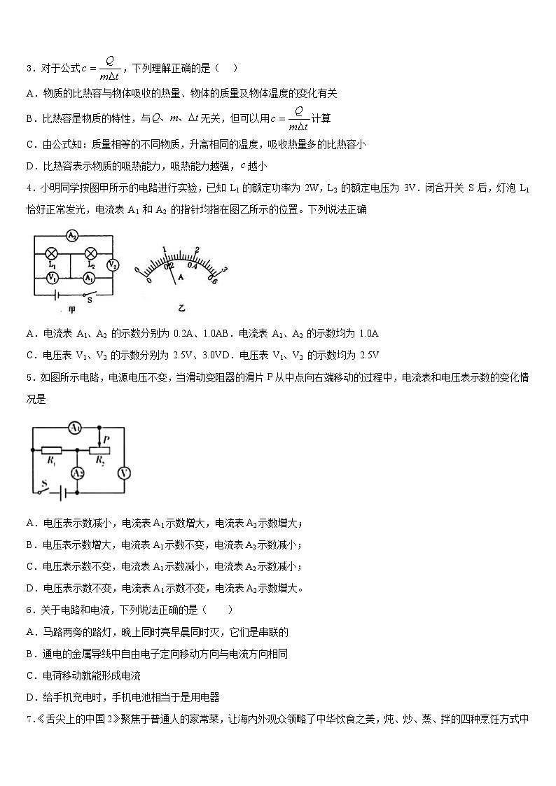 保定市重点中学2023-2024学年九上物理期末达标检测试题含答案02