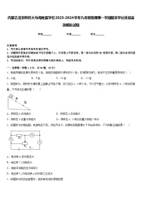 内蒙古北京师范大乌海附属学校2023-2024学年九年级物理第一学期期末学业质量监测模拟试题含答案